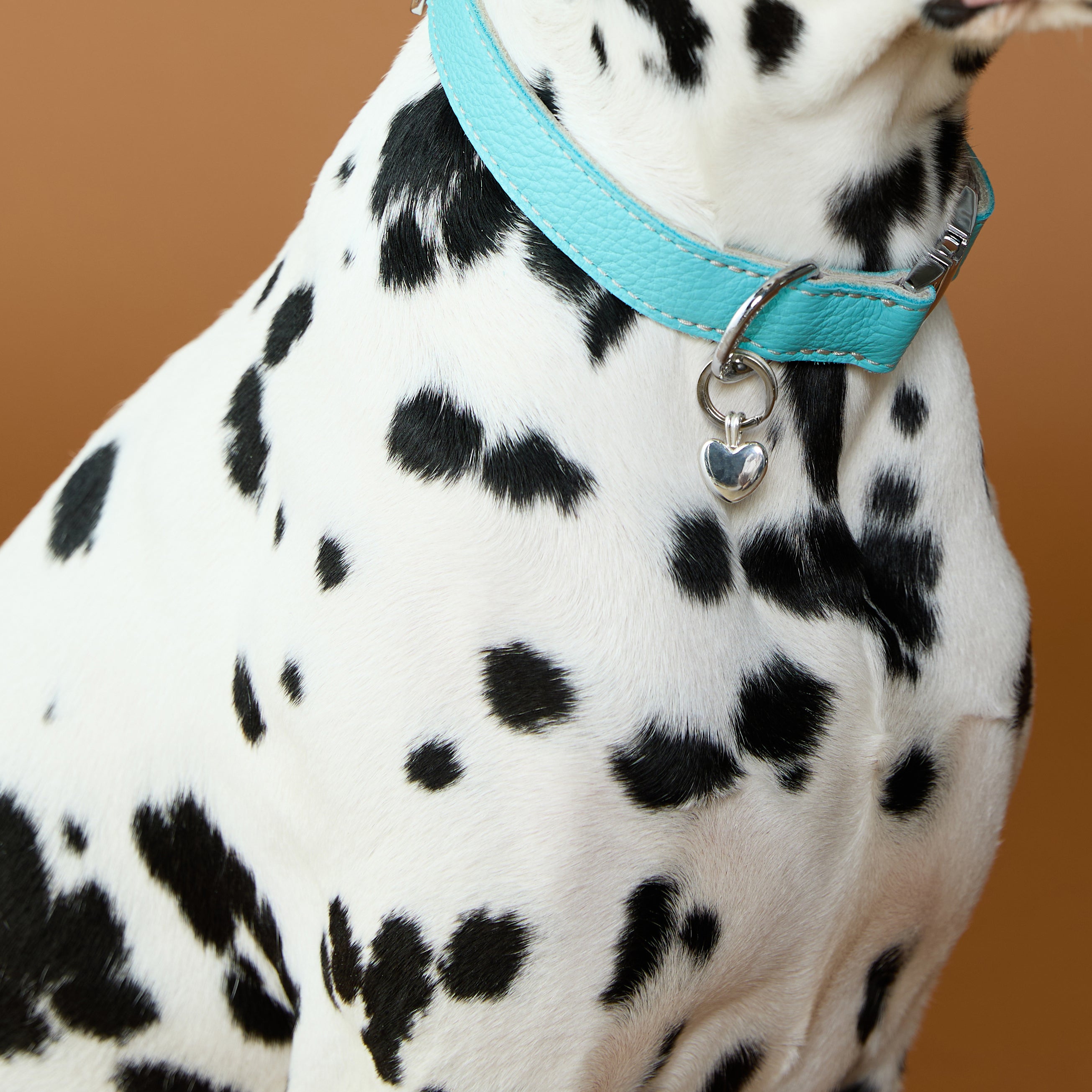 Pet Tags - Heart Pet Tag in Silver - Merchandise - Astrid &amp; Miyu