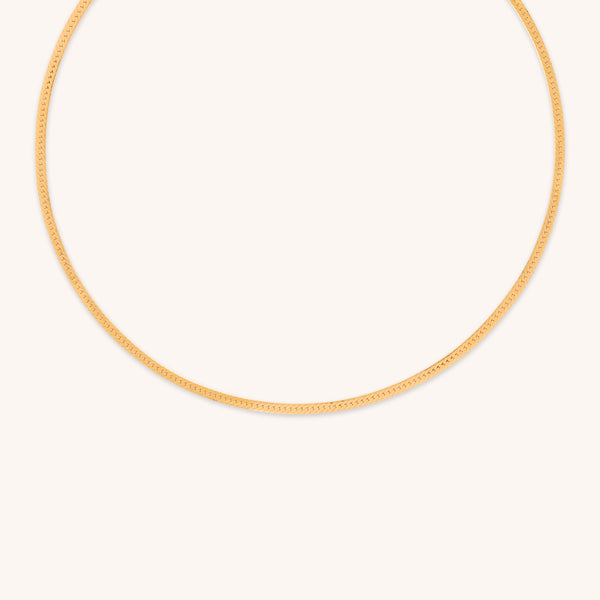 18k Gold Plated Jewellery - Essential Snake Chain Necklace in Gold - Chain Necklace - Astrid &amp; Miyu