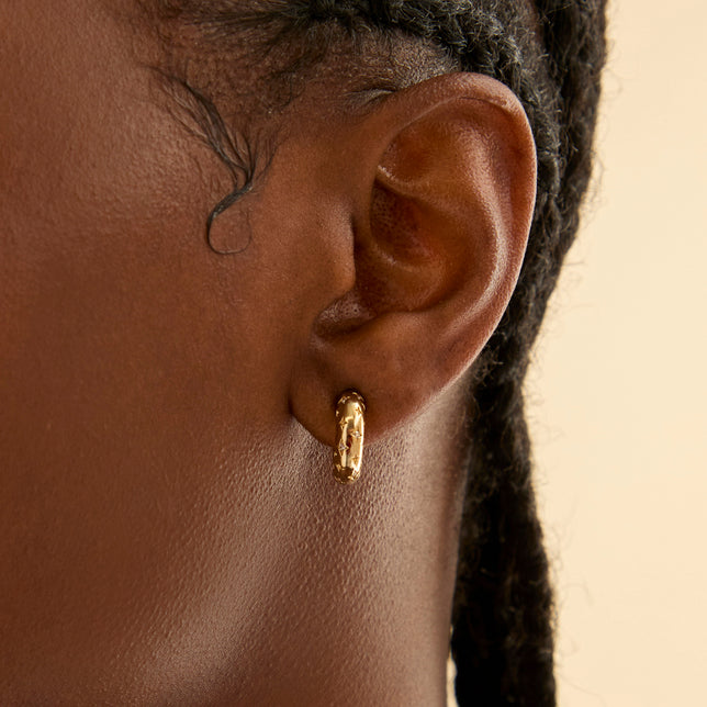 18k Gold Plated Jewellery - Cosmic Dome Small Hoops in Brushed Gold - Hoop Earrings - Astrid & Miyu