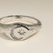 Cosmic Signet Ring in Silver