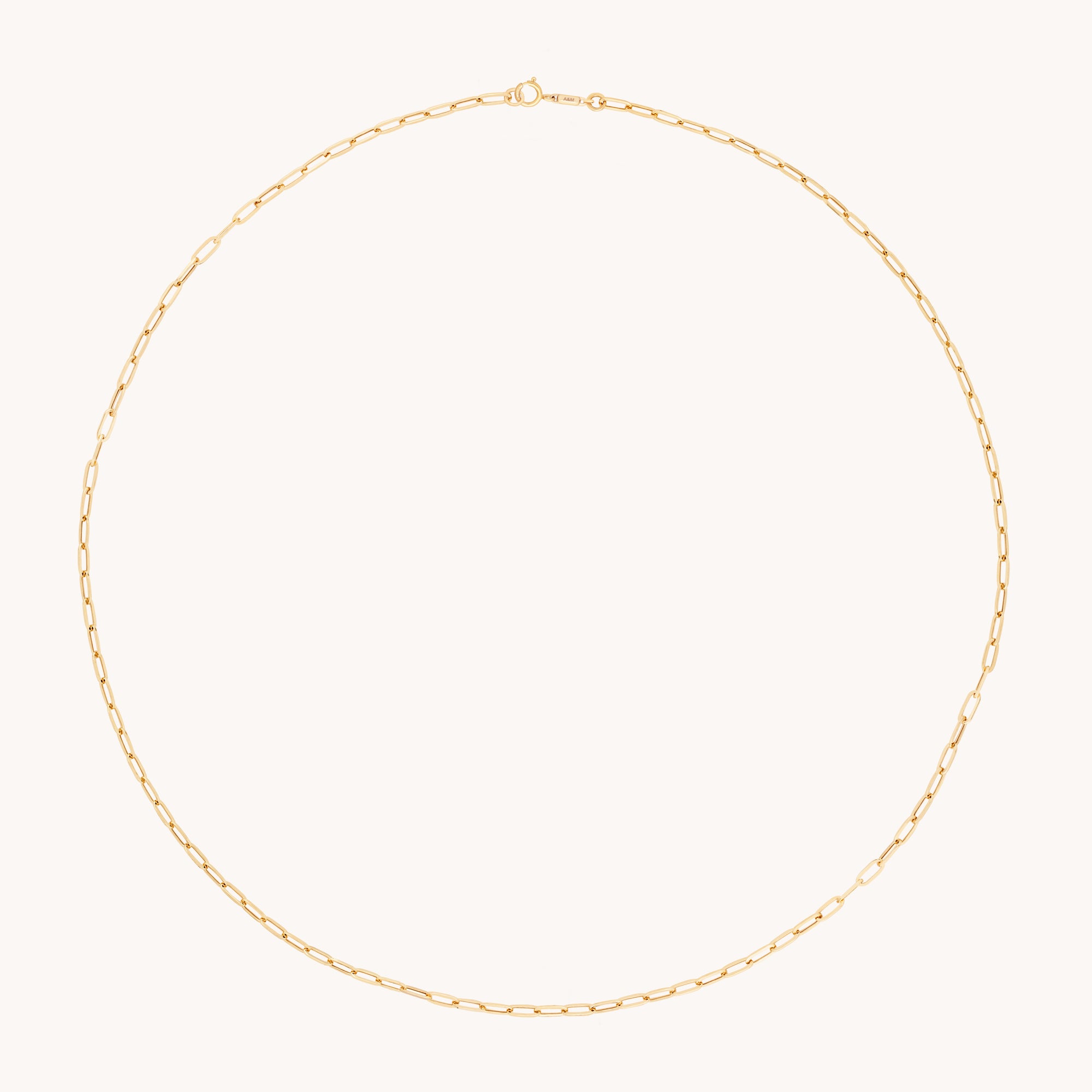 Piccadilly Chain Necklace in Solid Gold-Astrid &amp; Miyu