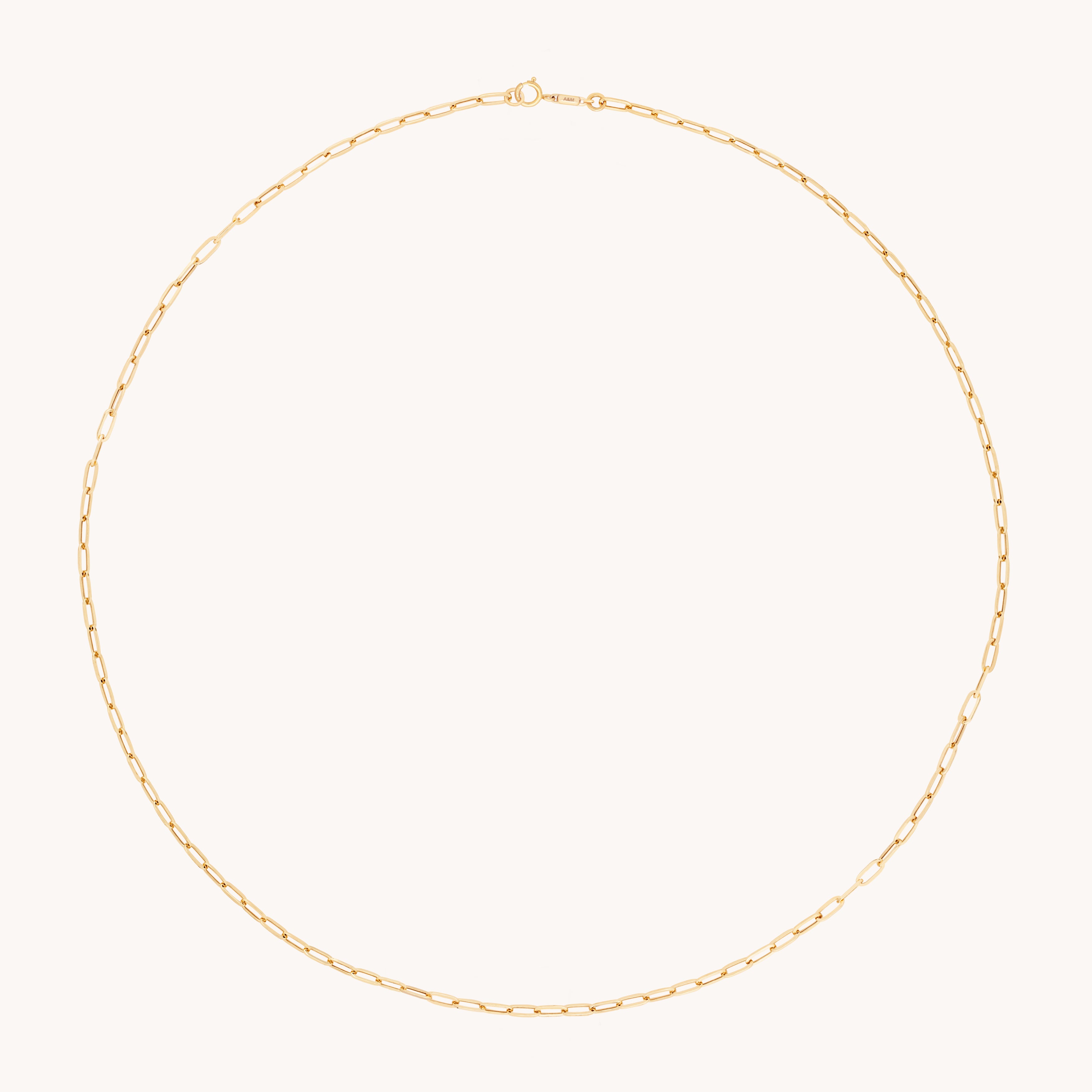Piccadilly Chain Necklace in Solid Gold-Astrid &amp; Miyu