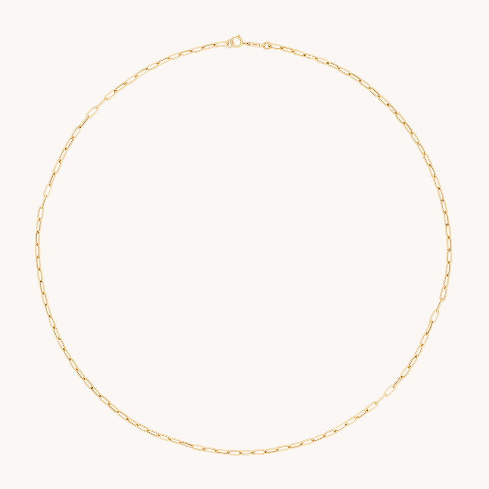 Piccadilly Chain Necklace in Solid Gold-Astrid &amp; Miyu