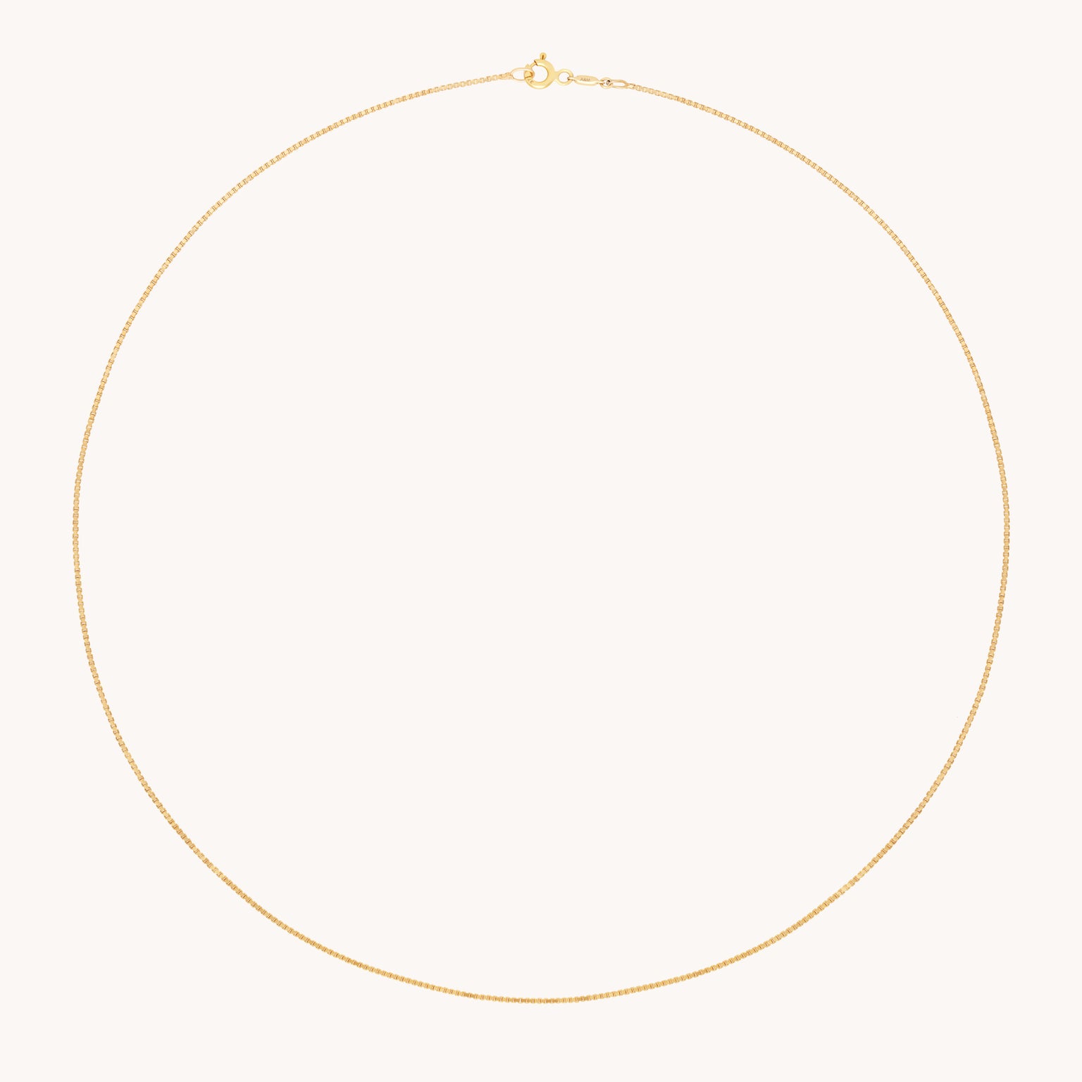 Shoreditch Chain Necklace in Solid Gold-Astrid &amp; Miyu