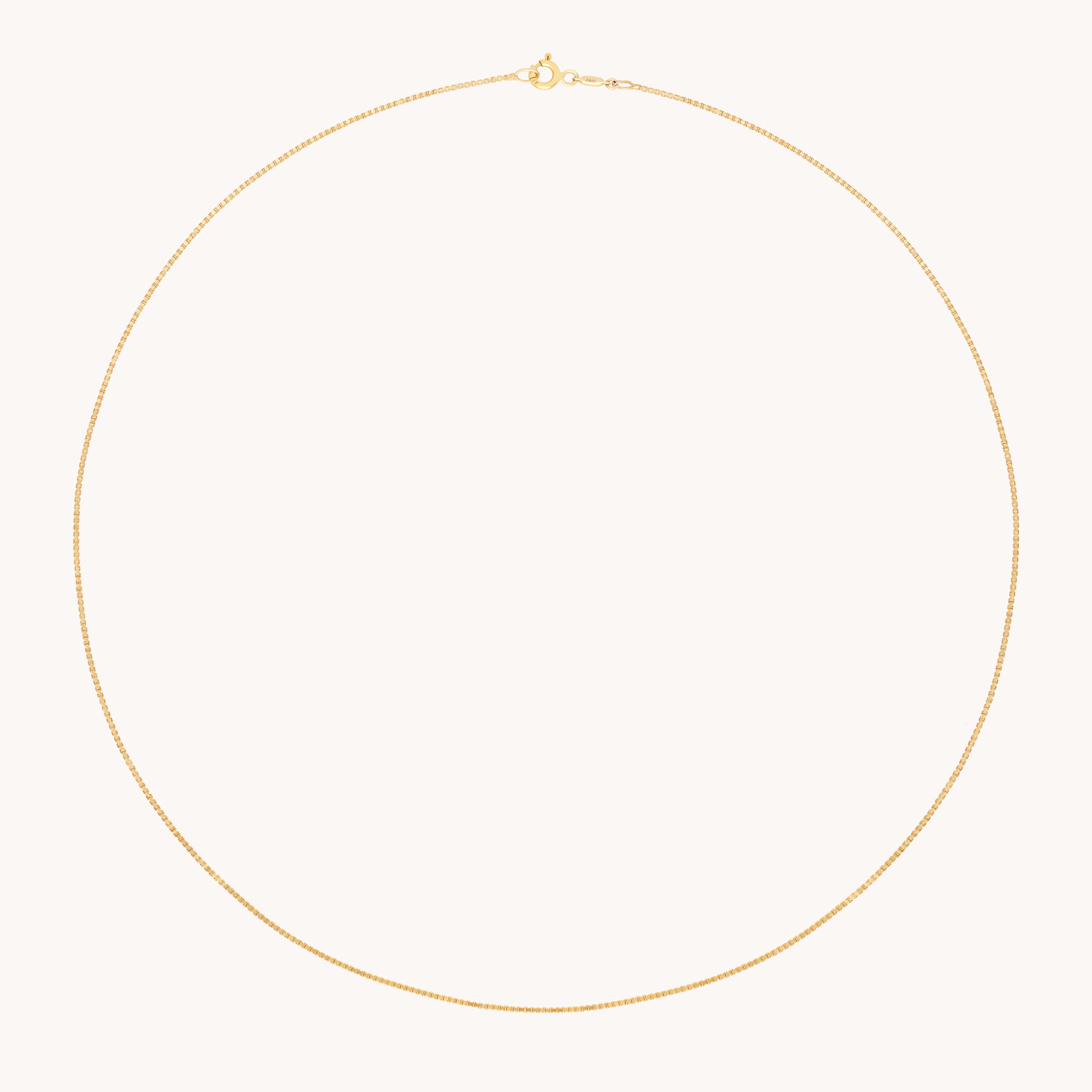 Shoreditch Chain Necklace in Solid Gold-Astrid &amp; Miyu