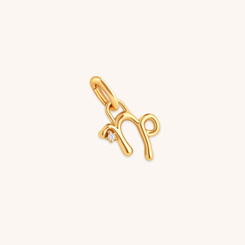 18k Gold Plated Jewellery - Capricorn Zodiac Talisman Charm in Gold - Talisman Charm - Astrid &amp; Miyu
