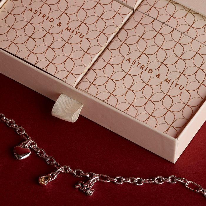 Bold Bracelet Charming Gift Set in Silver-Astrid &amp; Miyu