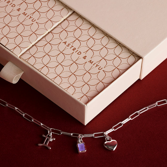 Piccadilly Bracelet Charming Gift Set in Silver-Astrid &amp; Miyu