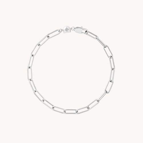 AM25-CH-B-PCLIP-S_1_894dc121-b793-4d05-8997-22ff45721759-Astrid &amp; Miyu