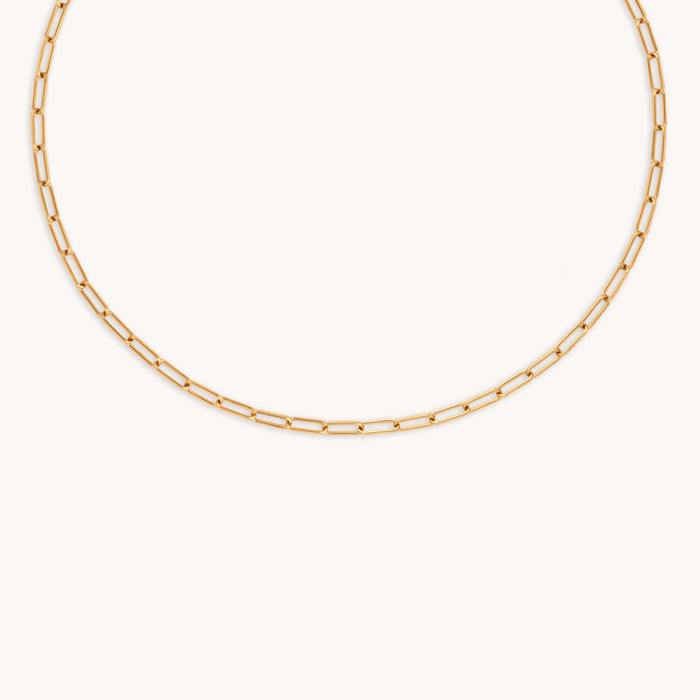 Bold Piccadilly Chain Necklace in Gold-Astrid &amp; Miyu