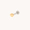 Shell Titanium Piercing Stud in Gold-Astrid &amp; Miyu