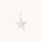 Pavé Star Charm 9k White Gold-Astrid &amp; Miyu