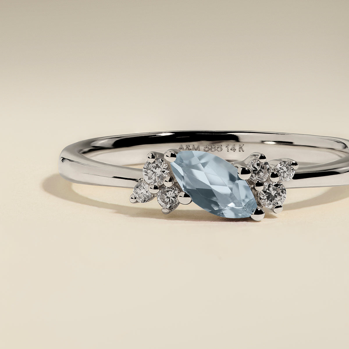 Aquamarine March Birthstone Milestone Ring in Solid White Gold-Astrid &amp; Miyu
