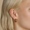 Curved Square Crystal Titanium Piercing Stud in Gold-Astrid &amp; Miyu