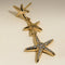 Starfish Drop Studs in Gold-Astrid &amp; Miyu