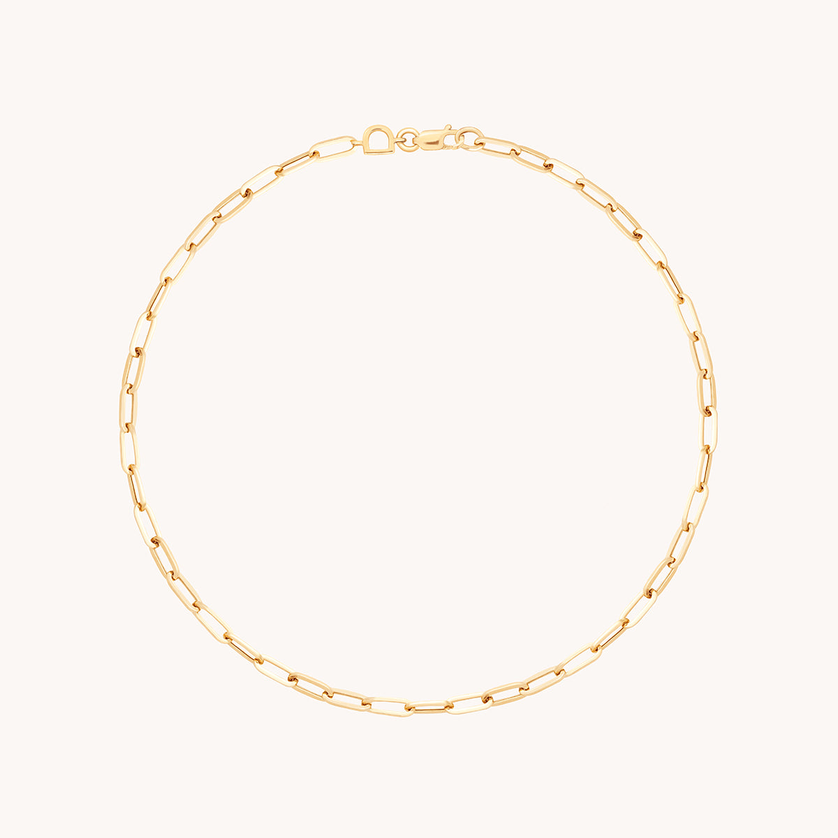 Piccadilly Chain Anklet in Solid Gold-Astrid &amp; Miyu
