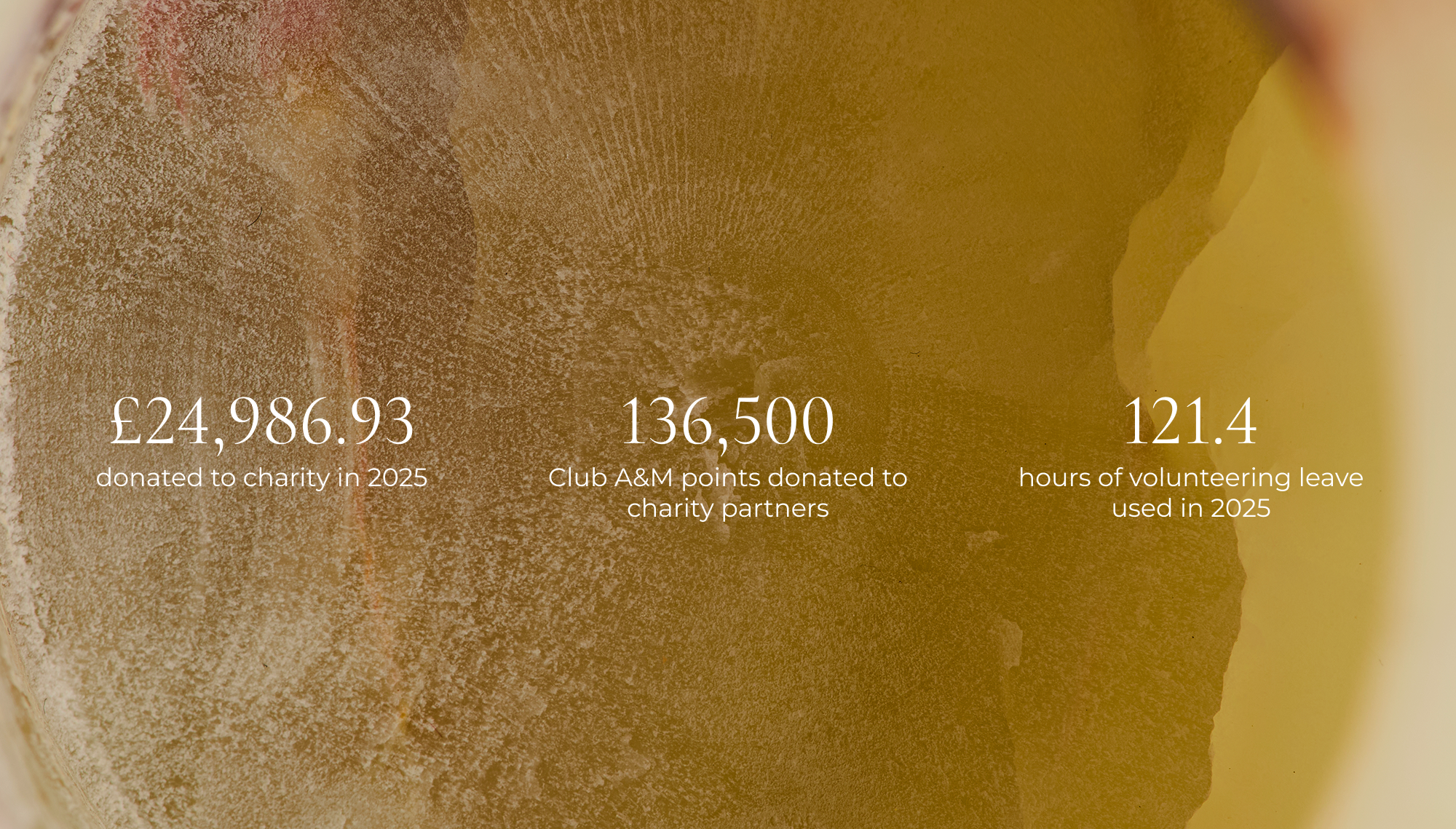 Charity_Stats_-_Landscape_Hero_Desktop-Astrid &amp; Miyu