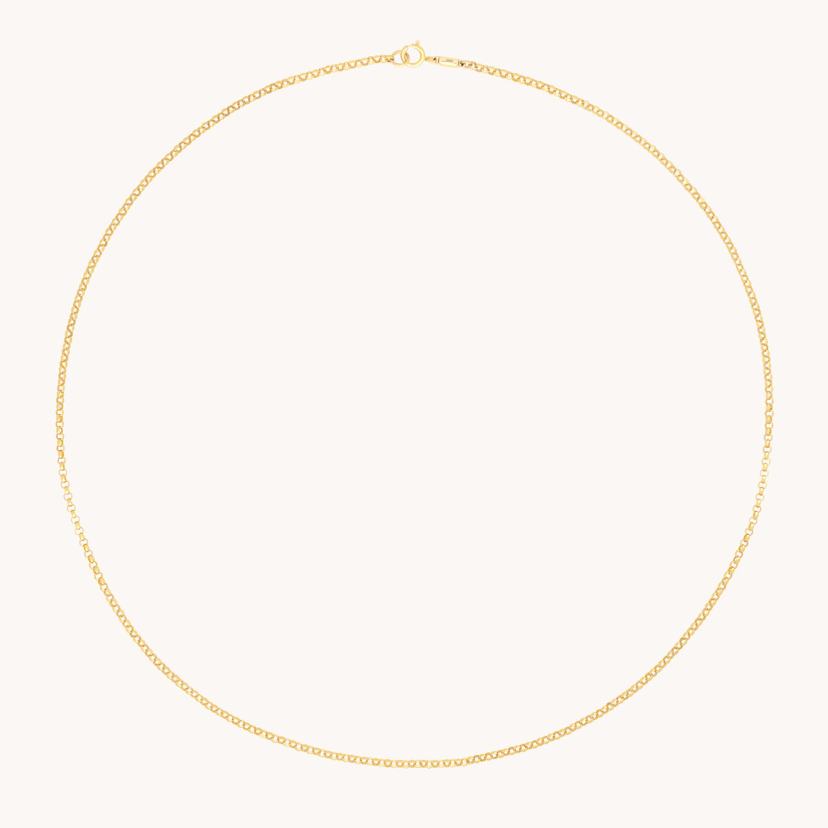 Chelsea Chain Chelsea 9k Gold Chain Necklace | Astrid & Miyu Necklaces