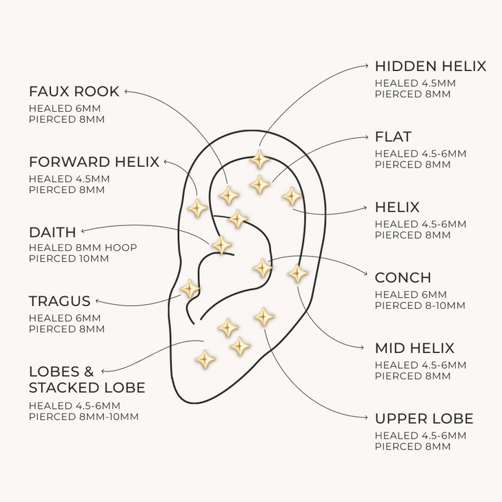 Ear_Diagram_9685f331-c9e5-4dc5-ba15-20239161f7f1-Astrid &amp; Miyu
