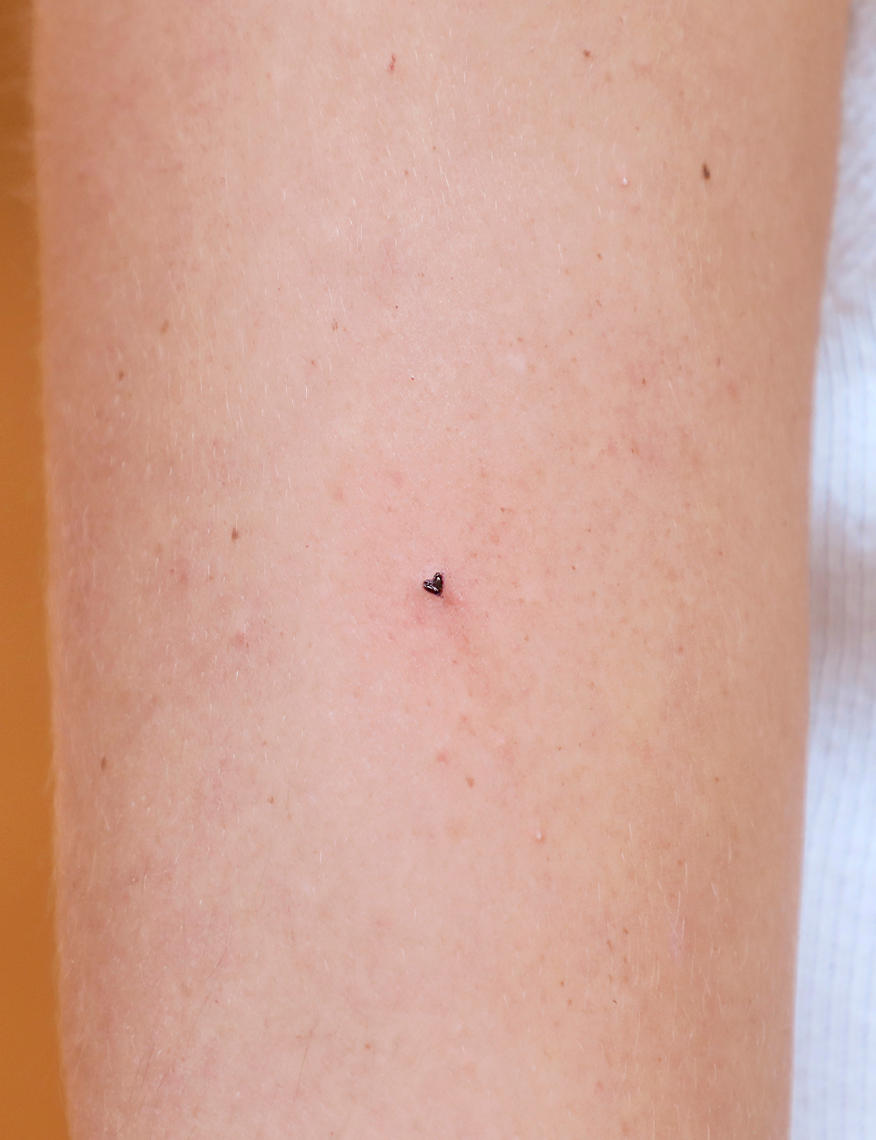 More_Info_portrait-Astrid &amp; Miyu