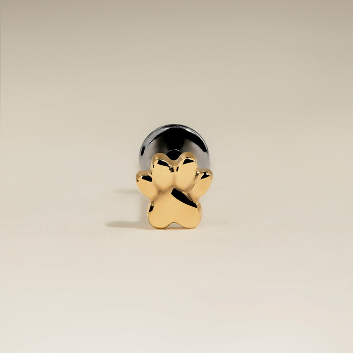 Paw Titanium Piercing Stud in Gold-Astrid &amp; Miyu