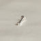 April White Topaz - Solid White Gold Topaz Piercing Stud - Piercing Stud - Astrid &amp; Miyu