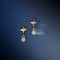 Cosmic Star Charm Studs Cracker in Silver-Astrid &amp; Miyu