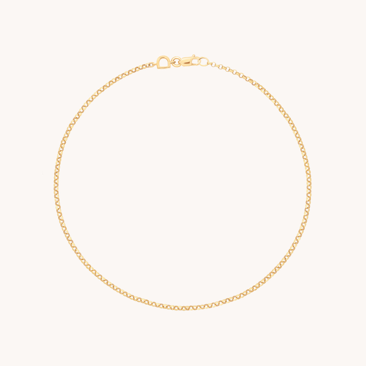 Chelsea 9k Gold Story Chain Anklet | Astrid & Miyu Anklets