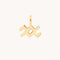 Aquarius Jewellery - Aquarius Zodiac Charm 9k Gold - Welding Charm - Astrid &amp; Miyu