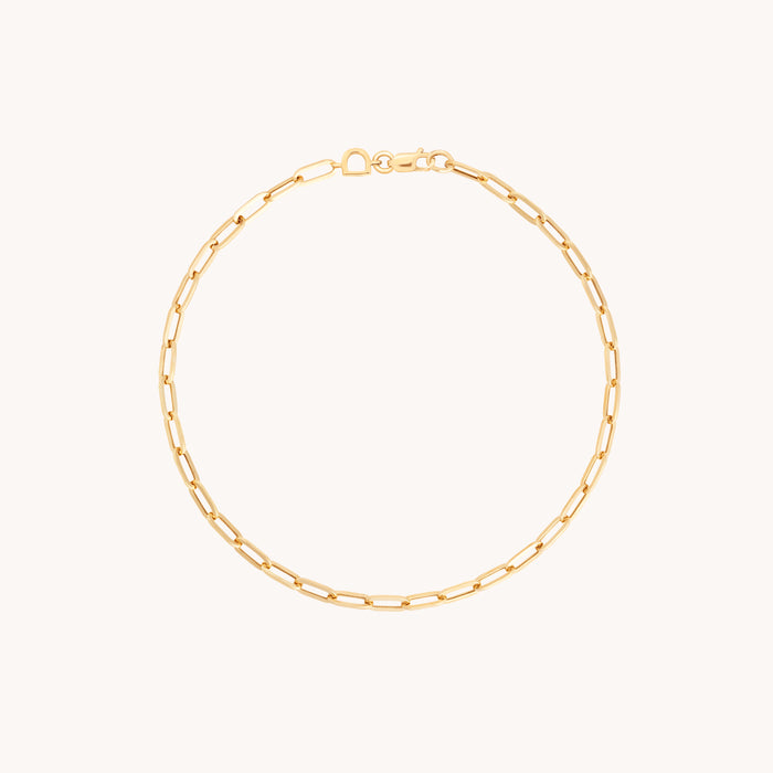 Piccadilly Story Chain Bracelet in Solid Gold-Astrid &amp; Miyu
