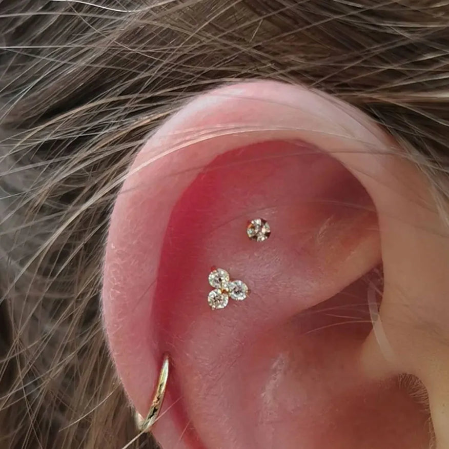 Astrid and 2025 miyu piercing jewellery