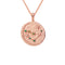 18k Rose Gold Plated Jewellery - Capricorn Zodiac Pendant Necklace in Rose Gold - Zodiac Pendant - Astrid &amp; Miyu