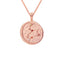 18k Rose Gold Plated Jewellery - Leo Zodiac Pendant Necklace in Rose Gold - Zodiac Pendant - Astrid &amp; Miyu