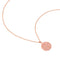 18k Rose Gold Plated Jewellery - Gemini Zodiac Pendant Necklace in Rose Gold - Zodiac Pendant - Astrid &amp; Miyu
