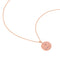 18k Rose Gold Plated Jewellery - Pisces Zodiac Pendant Necklace in Rose Gold - Zodiac Pendant - Astrid &amp; Miyu