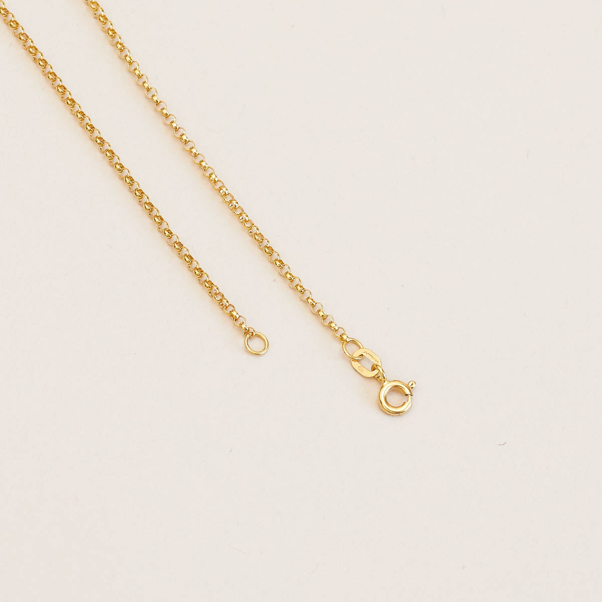 Chelsea Chain Chelsea 9k Gold Chain Necklace | Astrid & Miyu Necklaces