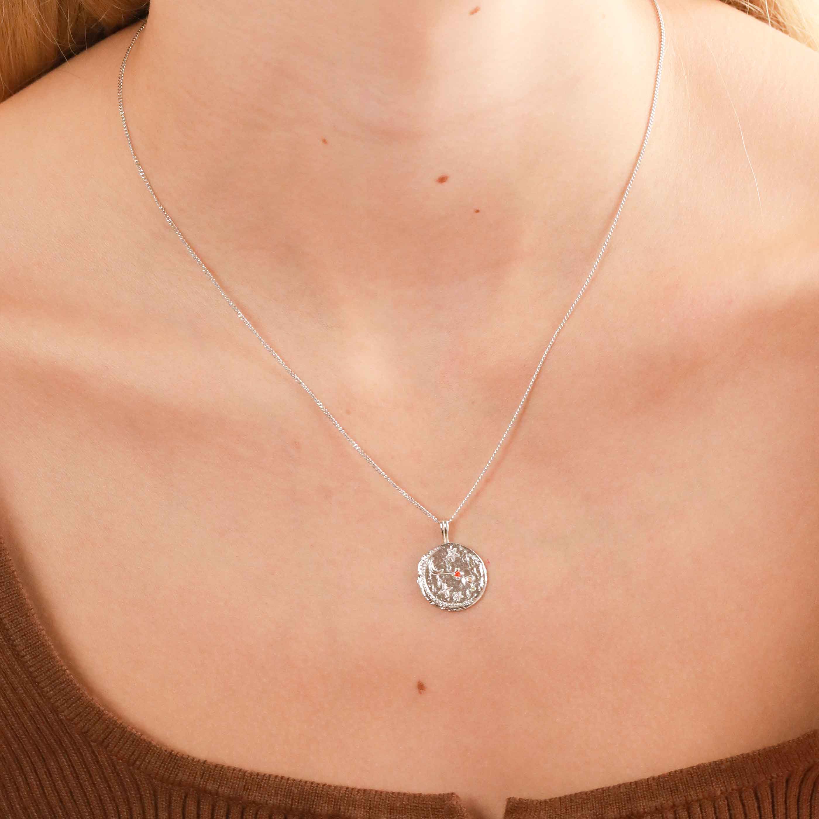 Aries Jewellery - Aries Zodiac Pendant Necklace in Silver - Zodiac Pendant - Astrid &amp; Miyu