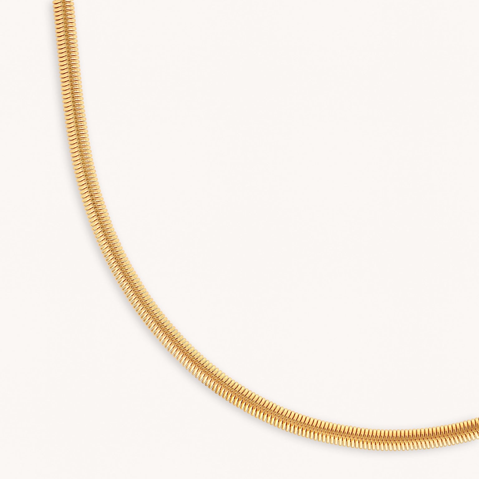 Oval Snake Chain Necklace in Gold close up shot